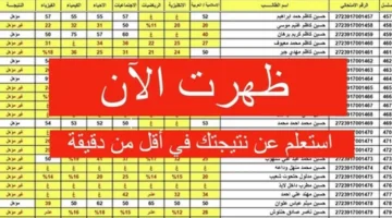 الآن ظهرت.. نتائج السادس الابتدائي 2025 الدور الثالث لكل المحافظات برقم الامتحان عبر موقع وزارة التربية العراقية